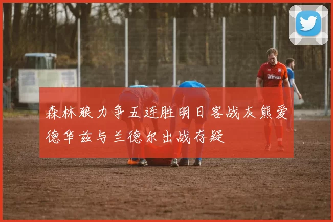 森林狼力争五连胜明日客战灰熊爱德华兹与兰德尔出战存疑